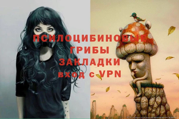 тгк Горняк